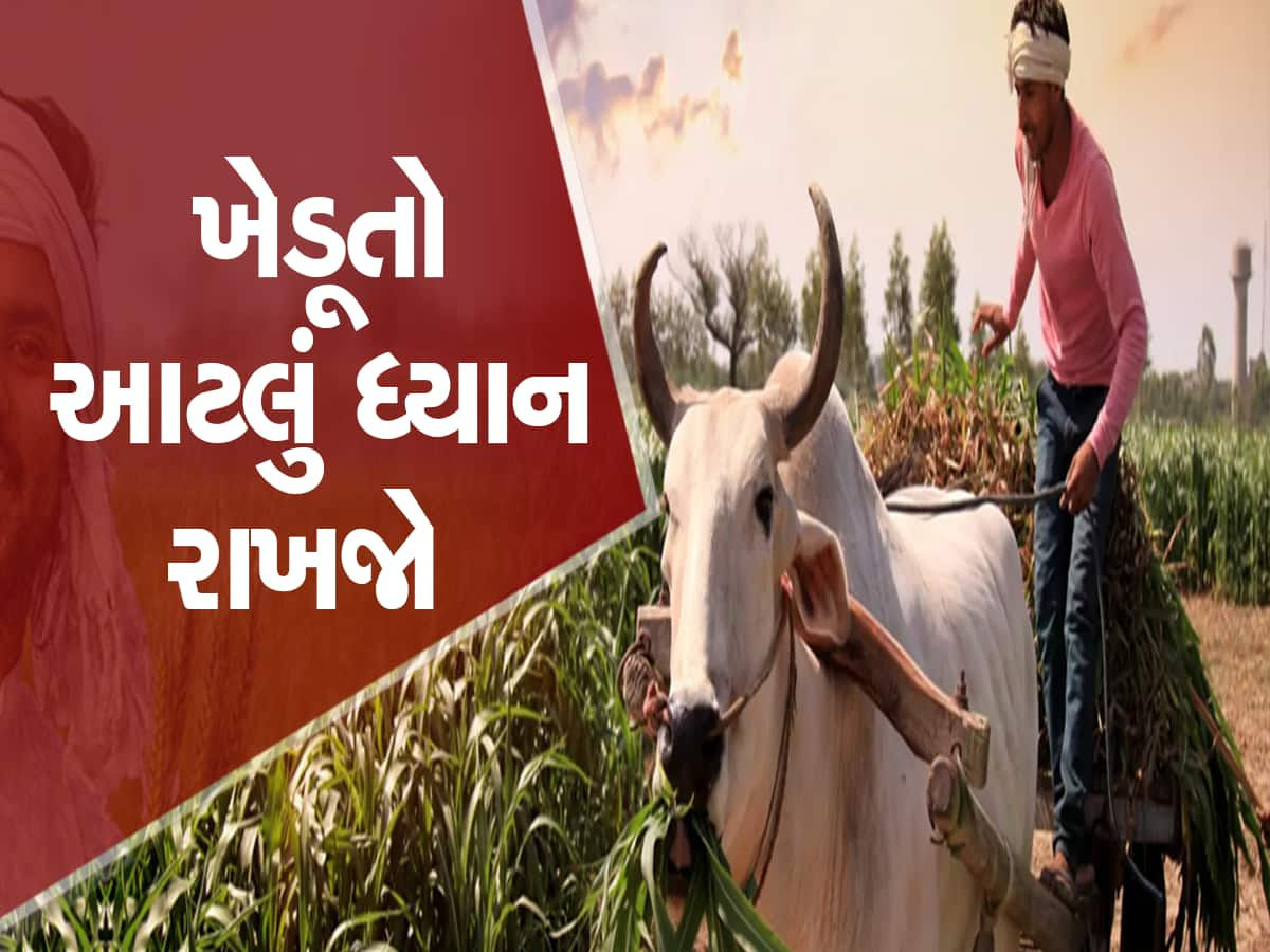 ગુજરાત સરકારની ખેડૂતોને સલાહ : વાવેતર પહેલા આ બાબતનું ખાસ ધ્યાન રાખજો, નહિ તો પસ્તાશો