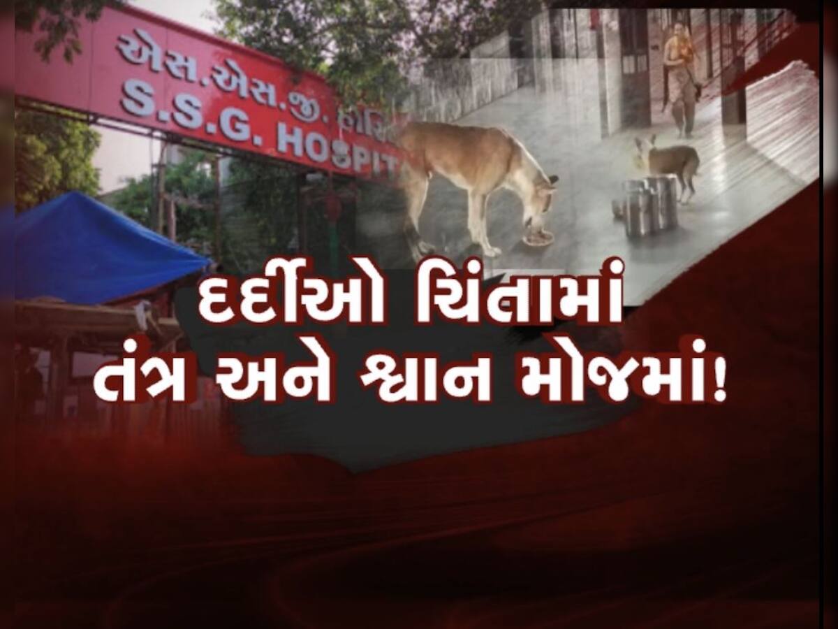 વડોદરામાં દર્દીઓ ભગવાન ભરોસે, SSG હોસ્પિટલમાં રખડતાં શ્વાનના ડેરા