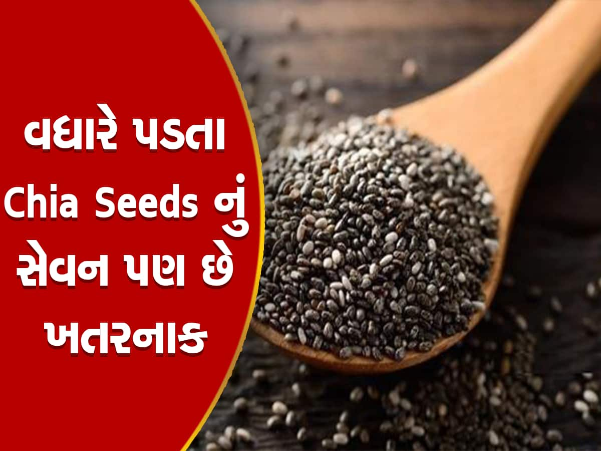 Chia Seeds નું વધુ પડતું સેવન સ્વાસ્થ્ય માટે ઝેર બરાબર! થઈ શકે છે આ સમસ્યાઓ