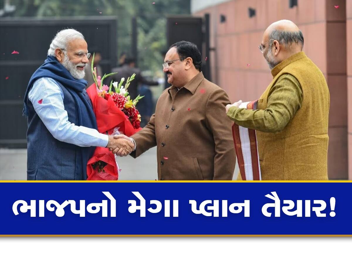 મોદી સરકારના પૂરા થઈ રહ્યાં છે 9 વર્ષ, જાણો શું છે ભાજપનો સ્પેશિયલ પ્લાન