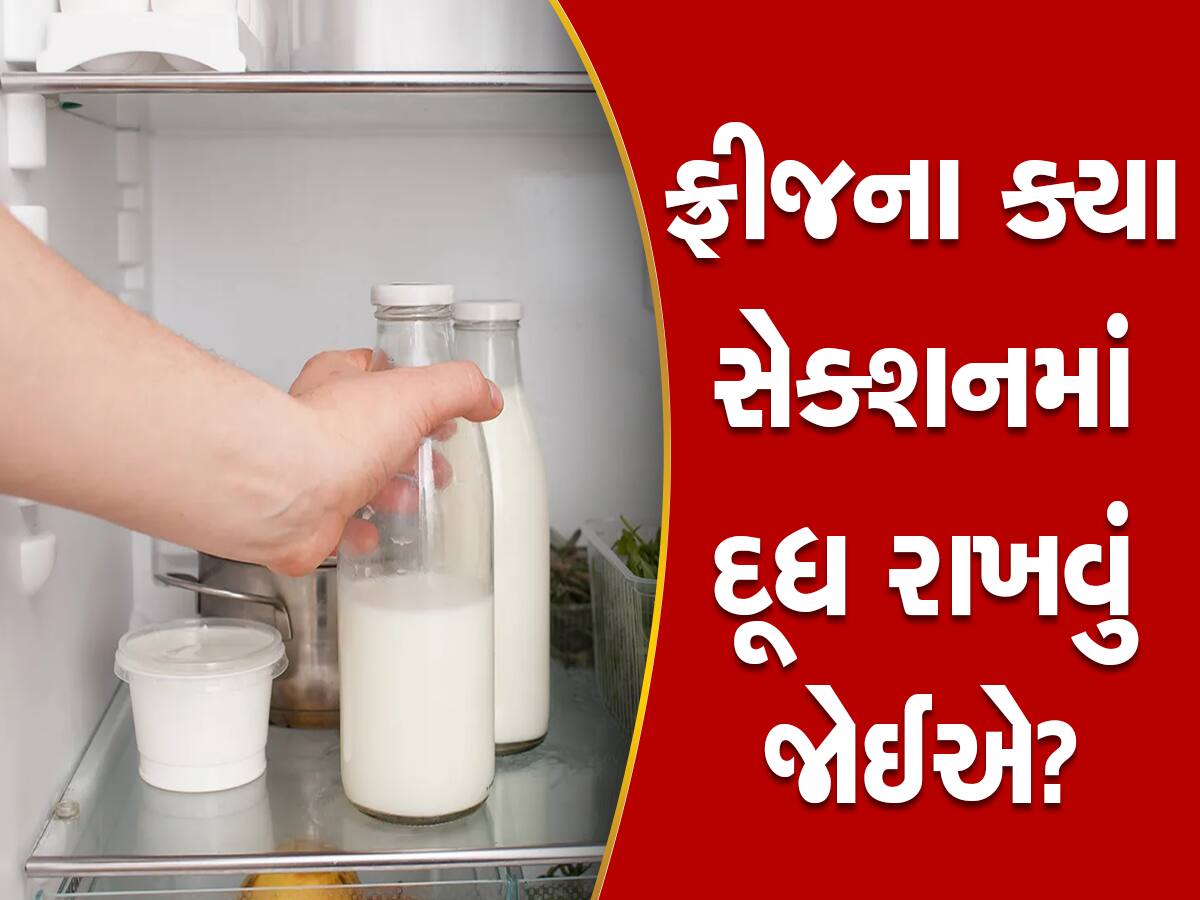 know where to store milk in refrigerator
