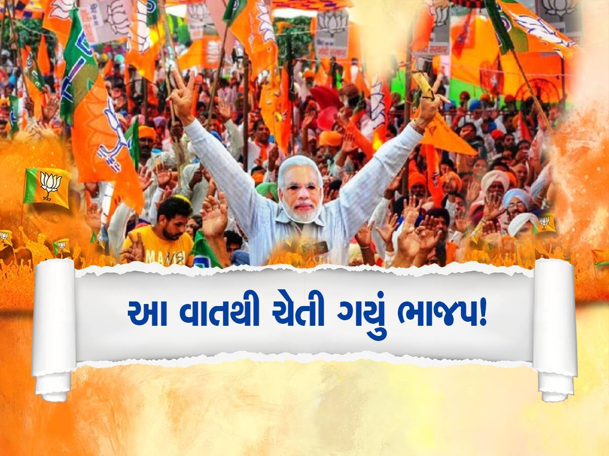 Gujarat Politics: કર્ણાટકના પરિણામો બાદ ગુજરાતમાં ભાજપ સાવધાન, પાર્ટી 30 મેથી 30 દિવસ રહેશે એલર્ટ