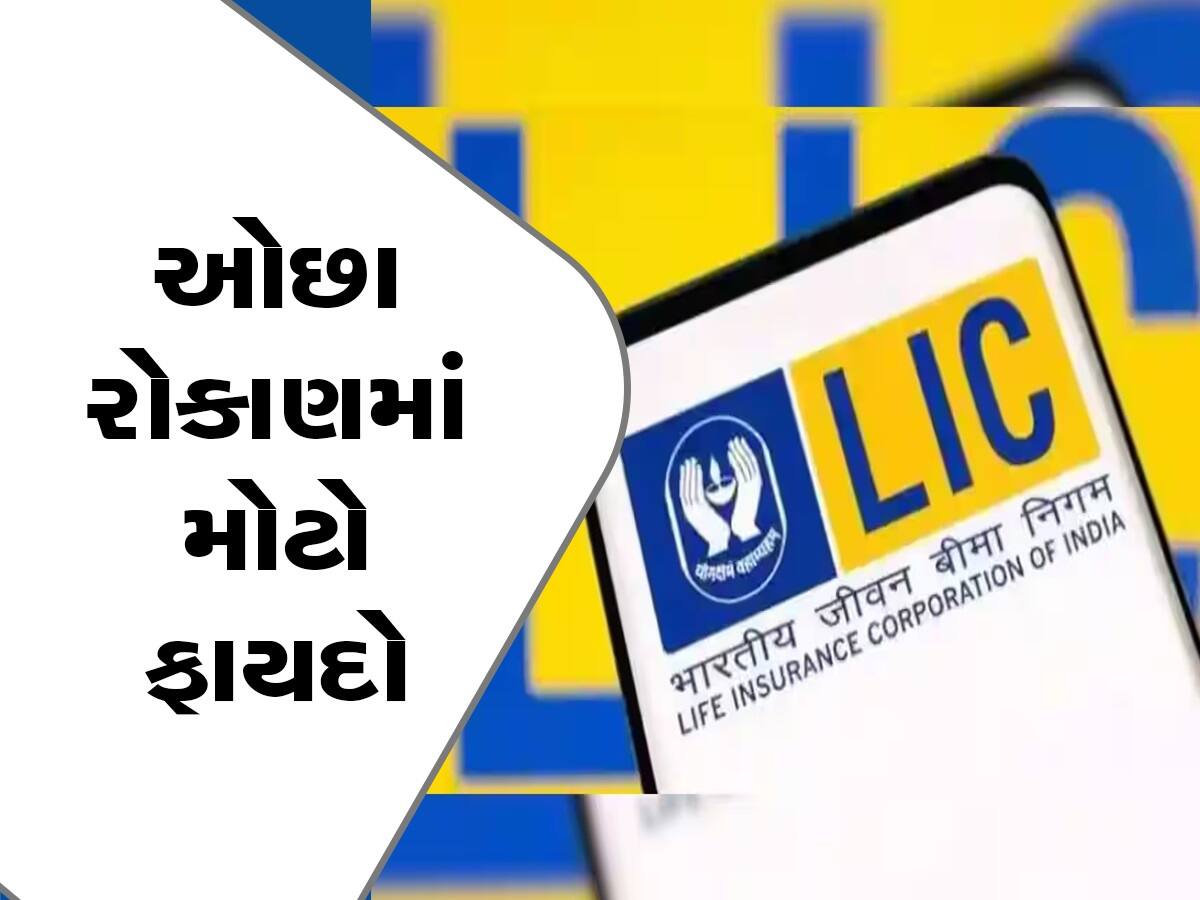 LIC ની આ પોલિસીમાં મહિને 7960 રૂપિયાનું રોકાણ કર્યું તો મેચ્યોરિટી પર મળશે 54 લાખ