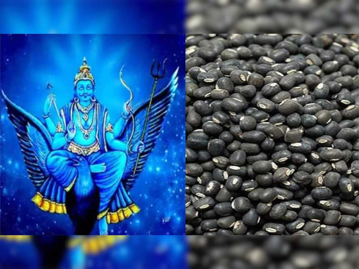 Shani Jayanti 2023: આજે શનિ દેવના પ્રિય અડદના કરી લો આ ઉપાય, દુર્ભાગ્ય અને આર્થિક તંગીથી મળશે મુક્તિ