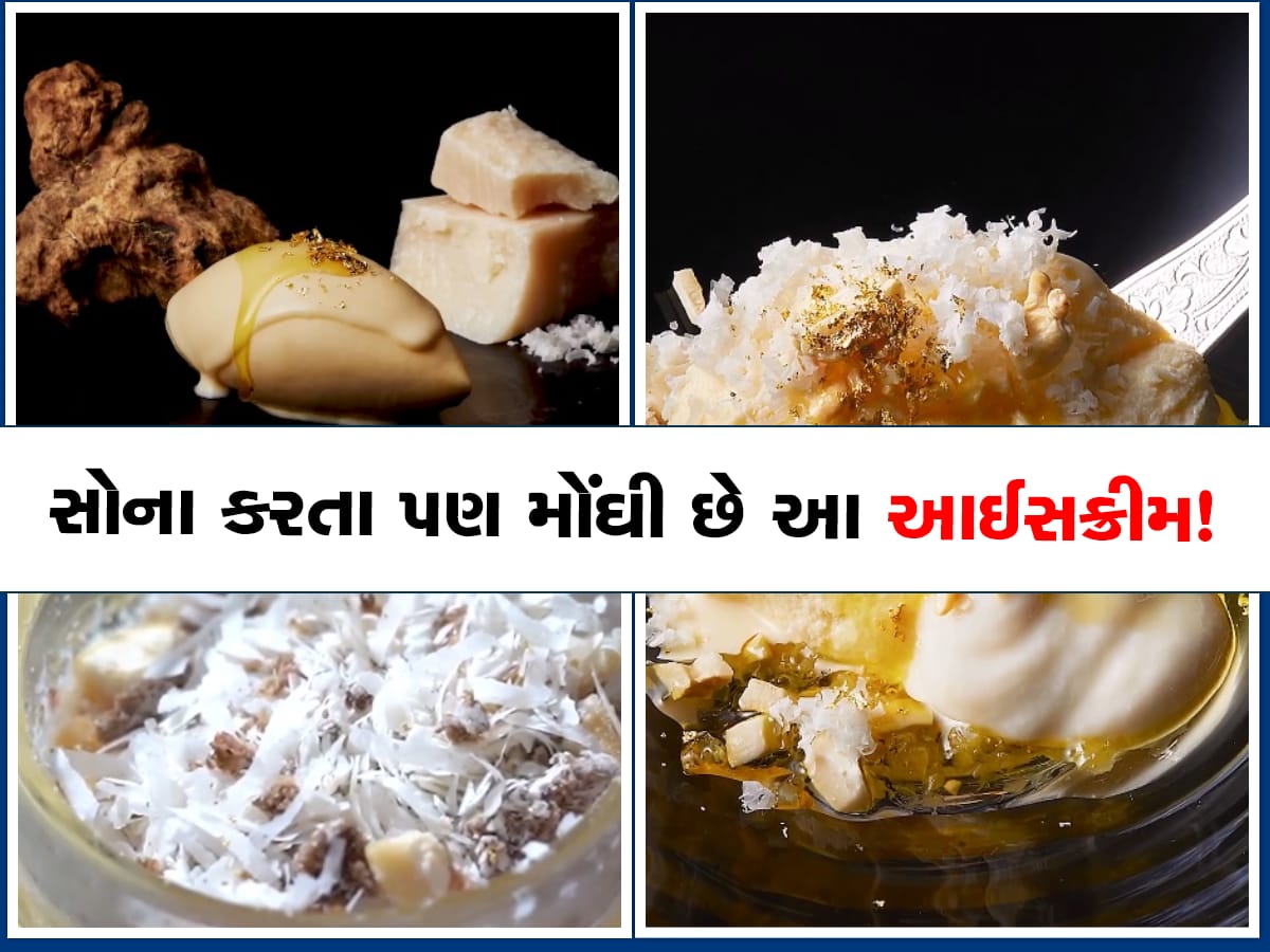 Most Expensive Ice Cream: આ છે દુનિયાનો સૌથી મોંઘો આઈસ્ક્રીમ, કિંમત જાણીને તમે પણ ચોંકી જશો