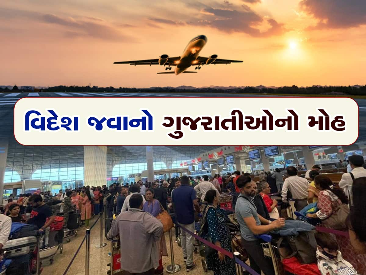 મેહાણીઓમાં કેનેડા અને અમેરિકા જવાનો ગાંડો ક્રેઝ, માત્ર 3 મહિનામાં આટલા બધા લોકો વિદેશ ઉપડ્યા 