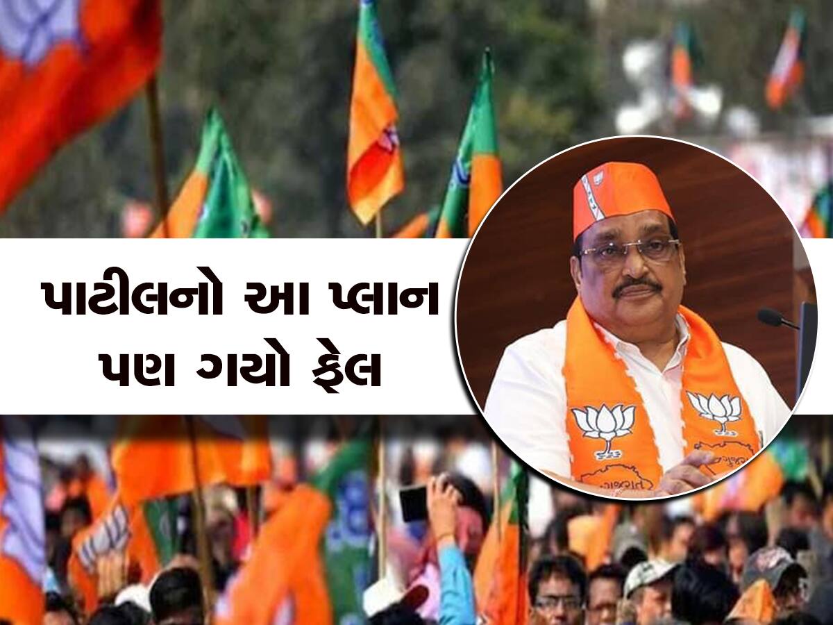 ગુજરાત ભાજપે પ્લાન બદલ્યો : હાંસિયામાં ધકેલાયેલા સિનિયર નેતાઓને ફરી કામે લગાડયા