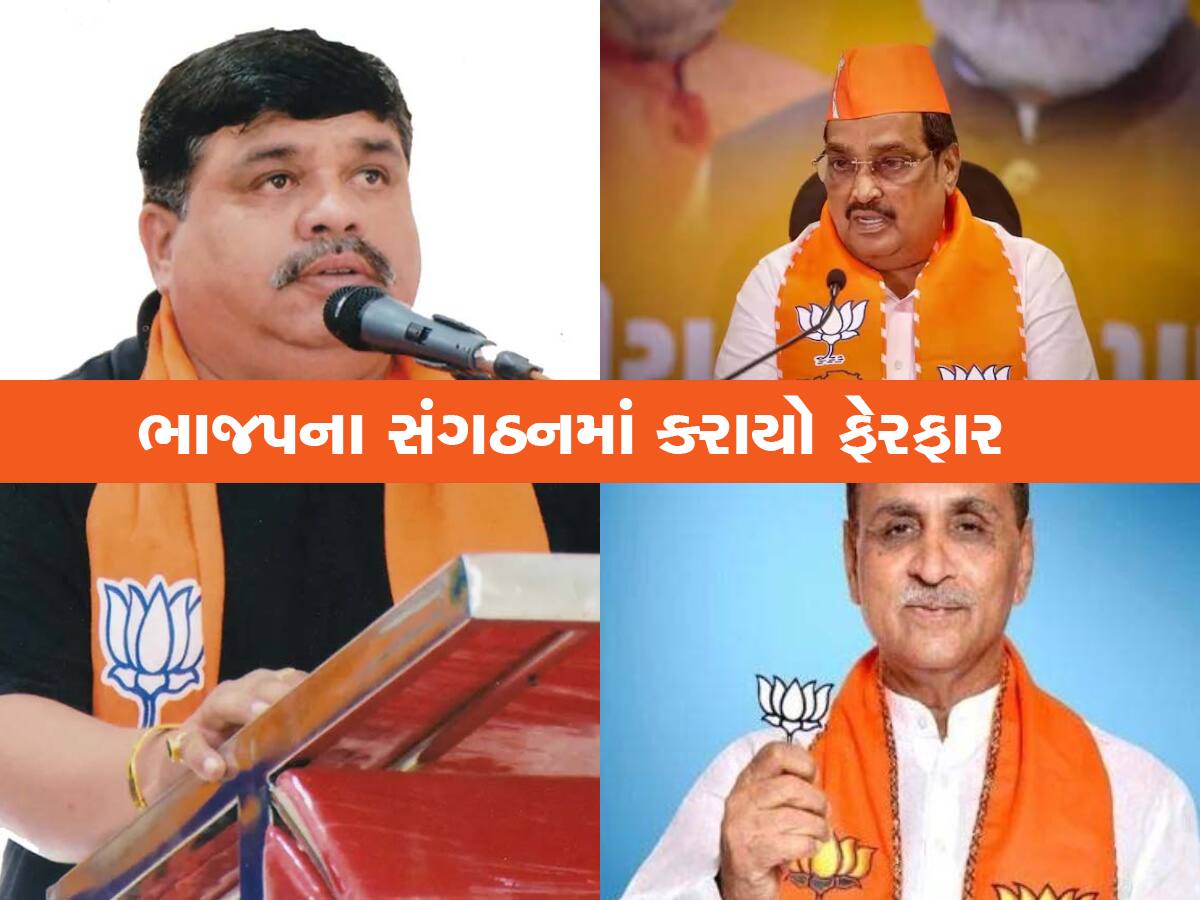 Gujarat BJP: સૌરાષ્ટ્રમાં મોટા ઉલટફેર; પાટિલ બગડ્યા! રૂપાણીના ખાસ ગણાતા કમલેશ મીરાણી પણ ઘરભેગા 