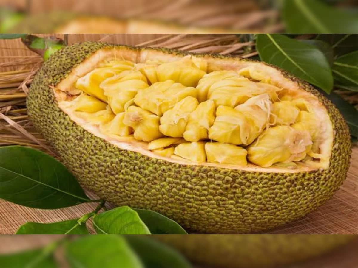 Benefits of Jackfruit: ફણસનું સેવન કરવાથી થતા ફાયદા જાણી આજથી જ ખાવાનું કરી દેશો શરુ