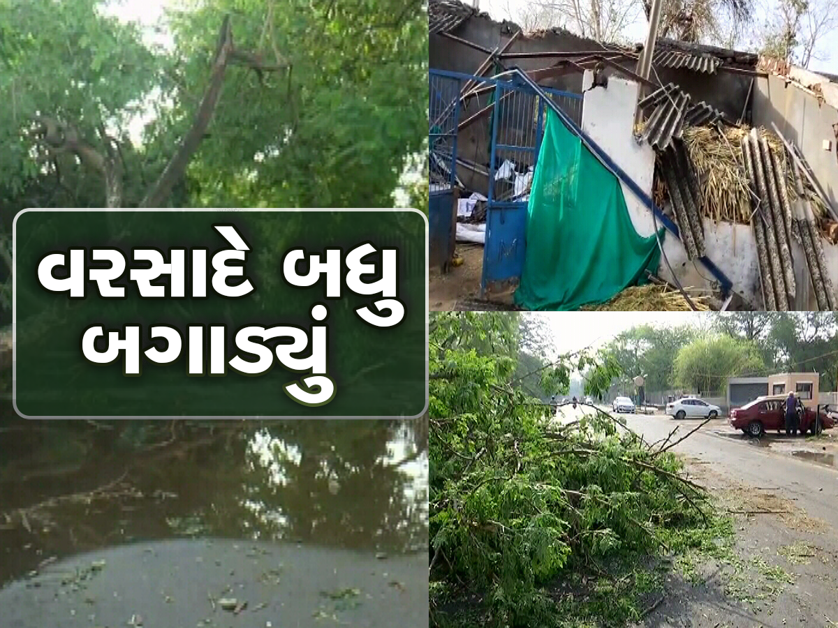 વાવાઝોડા સાથે આવેલા વરસાદે ગુજરાતમાં વિનાશ નોતર્યો, 55 તાલુકામાં વરસાદ વરસ્યો 