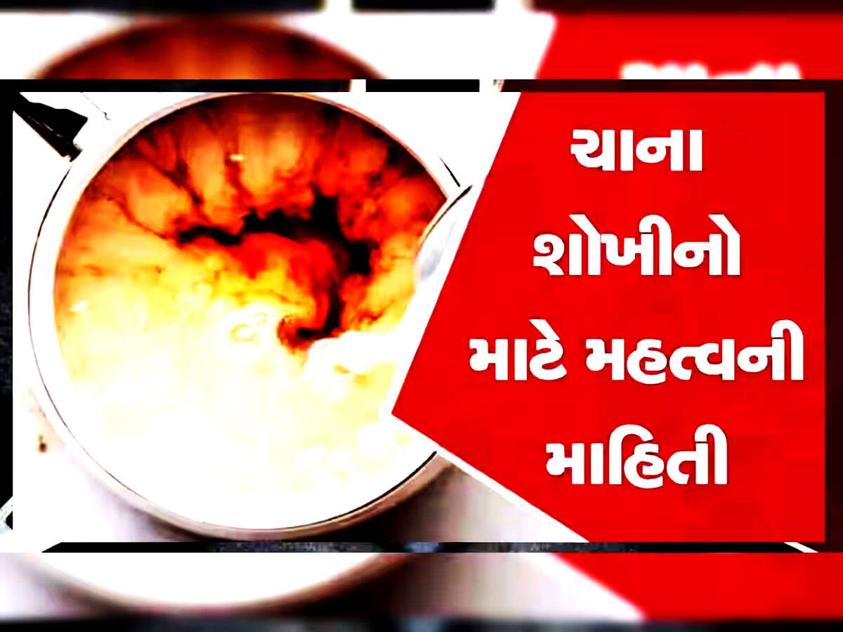 Tea: ચાના શોખીનો સાચવજો! ચા સાથે ઝેર સમાન છે આ વસ્તુઓ, ભૂલથી પણ ના ખાતા