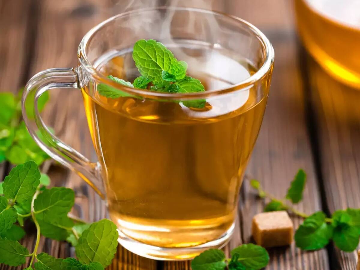 Green Tea પીવાના શોખીન છો? તો ક્યારેય ન કરશો આ ભૂલો, ફાયદાના બદલે થશે નુકસાન