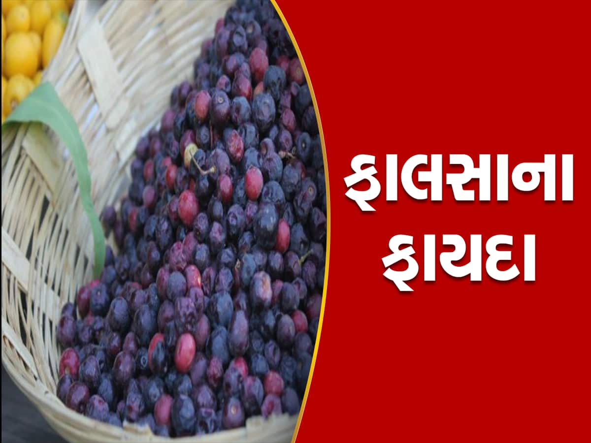 ખાટ્ટા-મીઠા ફાલસામાં છુપાયેલો છે અનેક રોગોનો ઈલાજ, જાણો નાના ફાલસાના મોટા ફાયદા