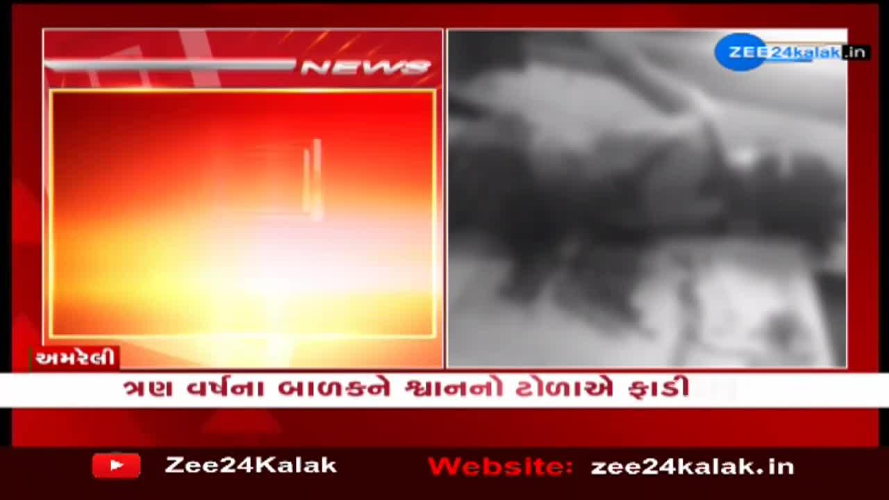 અમરેલીમાં ત્રણ વર્ષના બાળકને શ્વાનના ટોળાએ ફાડી ખાધું, બાળકનું સારવાર દરમિયાન મોત