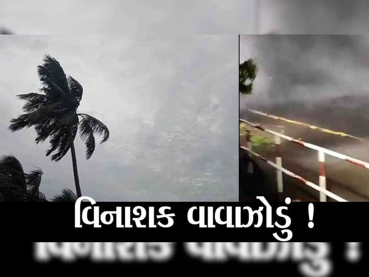 ગુજરાતના આ જિલ્લામાં વાવાઝોડાએ વેર્યો વિનાશ! 41 ગામોમાં છવાયો અંધારપટ, લોકો પોકારી ઉઠ્યા ત્રાહિમામ