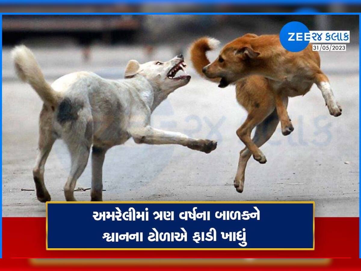 અમરેલીમાં રખડતાં કૂતરાએ 3 વર્ષના બાળકને ફાડી ખાતા કરૂણ મોત, વિસ્તારમાં ખળભળાટ