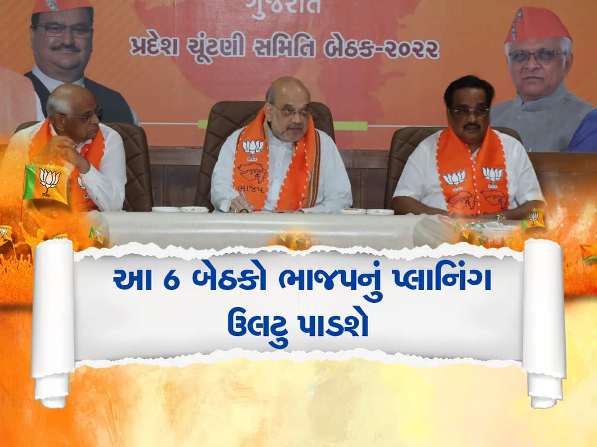 ભાજપનું મહામંથન પણ ફેલ કરશે આ 6 લોકસભા બેઠક, દિલ્હીવાળાને પણ થઈ ગયું ટેન્શન 