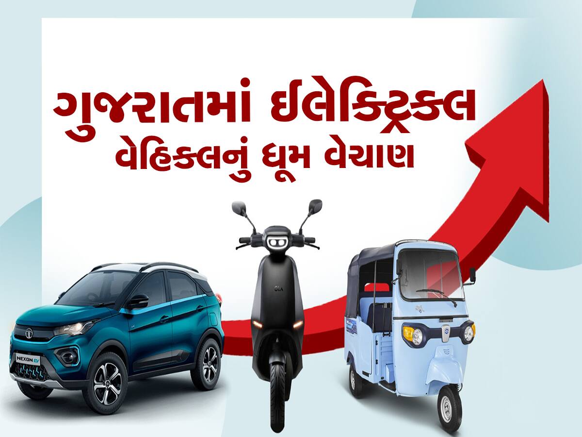 આમાં પણ ગુજરાતીઓ અવ્વલ : ઈલેક્ટ્રિક વ્હીકલ ખરીદવામાં રેકોર્ડ બનાવ્યો 