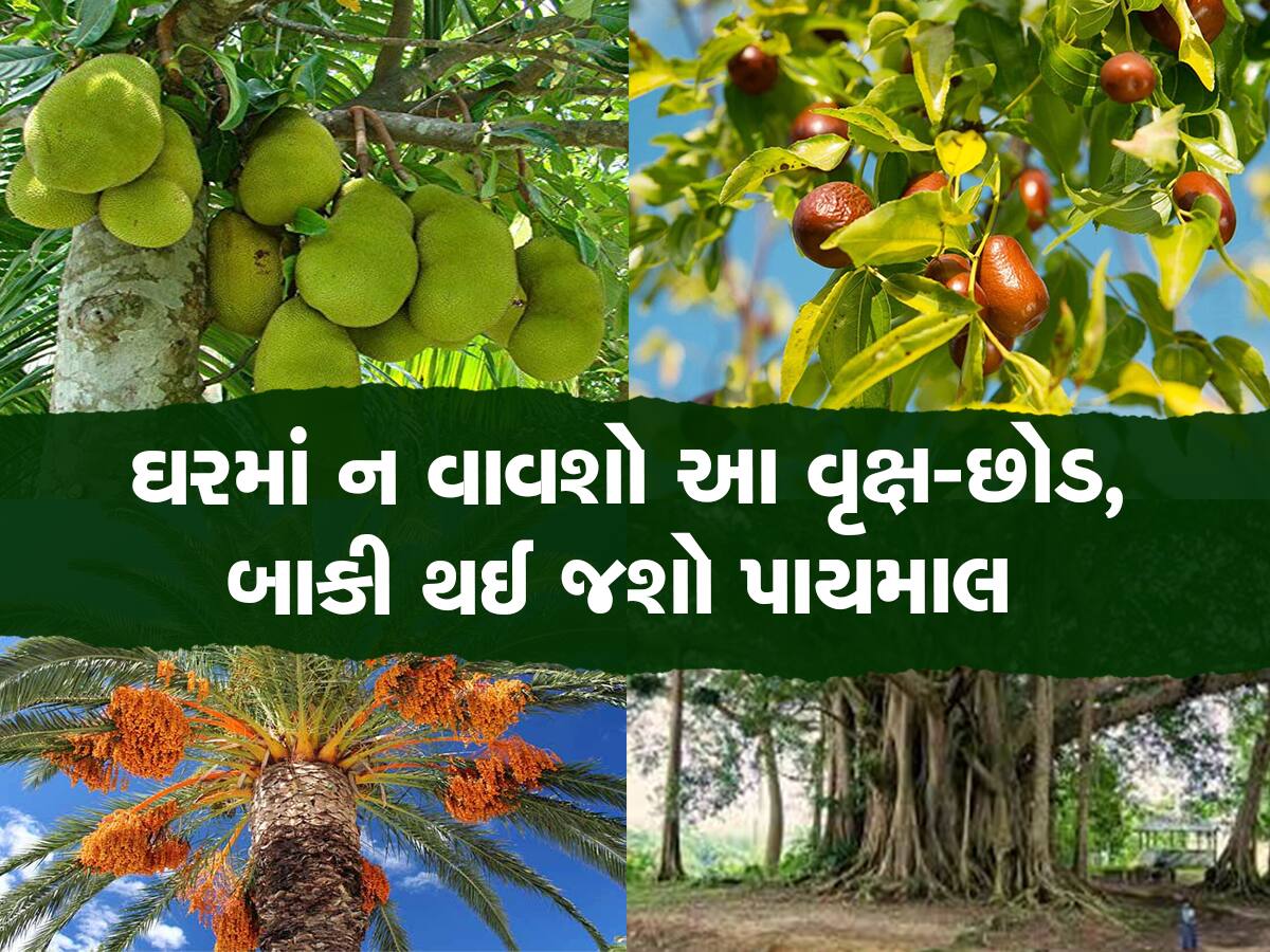 Vastu Tips for Plants: ભૂલથી પણ ઘરમાં ન લગાવશો આ છોડ, બાકી થઈ જશો કંગાળ!