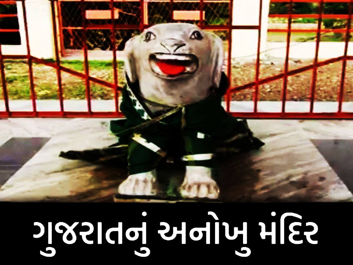 ગુજરાતનું અનોખુ શ્વાન મંદિર! જ્યાં શ્વાનના મોત બાદ ધરતીમાં સમાઈ ગયા માતાજી, જાણો રોચક કથા