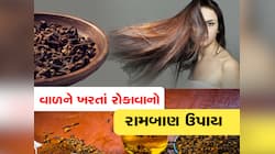 Hair Care Tips: તમને પણ ગમે છે લાંબા અને જાડા વાળ? તો લવિંગનો આ રીતે કરો ઉપયોગ