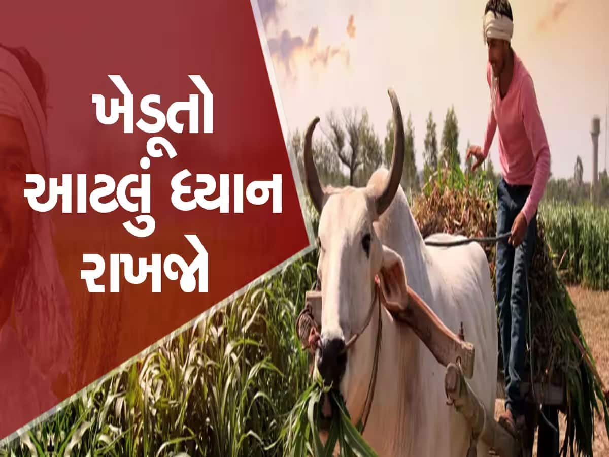 ગુજરાત સરકાર સૂફિયાની સલાહ આપે છે, પણ બે વર્ષમાં એકેય ખેડૂતને આ યોજનાનો લાભ ન આપ્યો