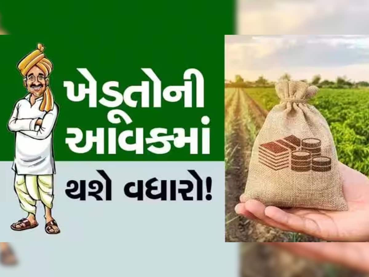 ગુજરાતના ખેડૂતો આનંદો! કપાસ-મગફળી સહિત ખરીફ પાકોના ટેકાના ભાવ જાહેર, જાણો શું છે ભાવ 