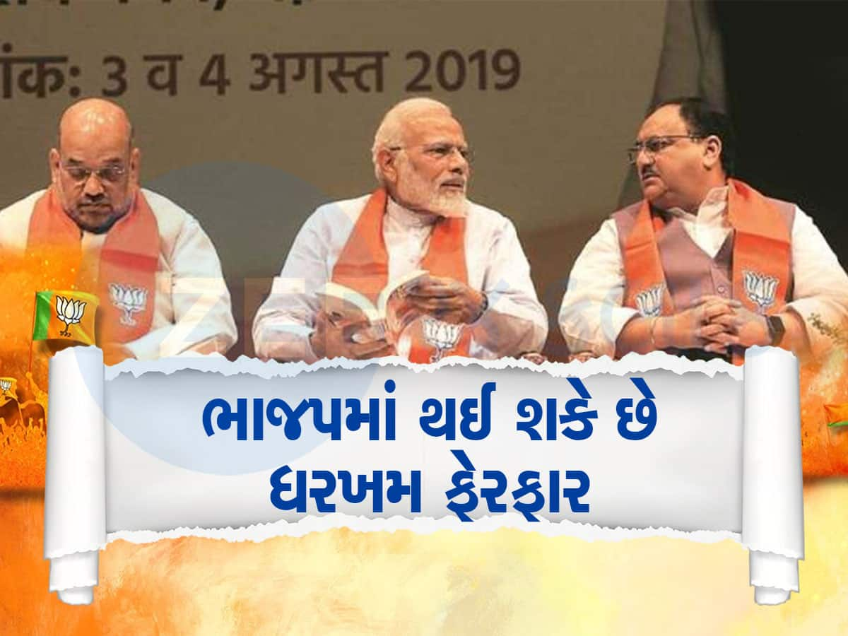 BJP Meeting: BJPમાં થઈ શકે છે મોટા ફેરફારો, રાજ્યોના પ્રદેશ પ્રમુખો બદલાશે? આમના તો કપાશે પત્તાં