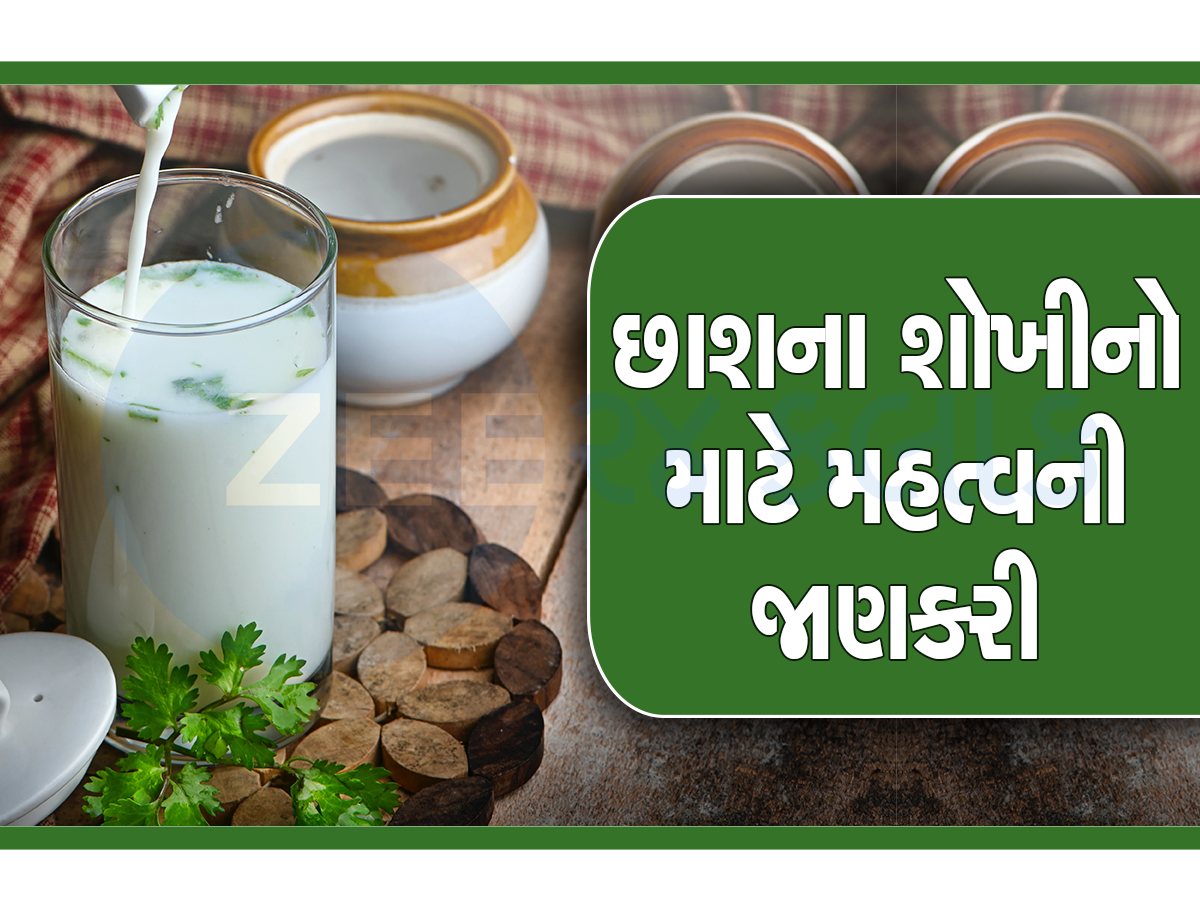 Buttermilk: ખોટા સમયે છાશ પીવાથી થાય છે નુકસાન...જાણો તેના સેવનનો સાચો સમય