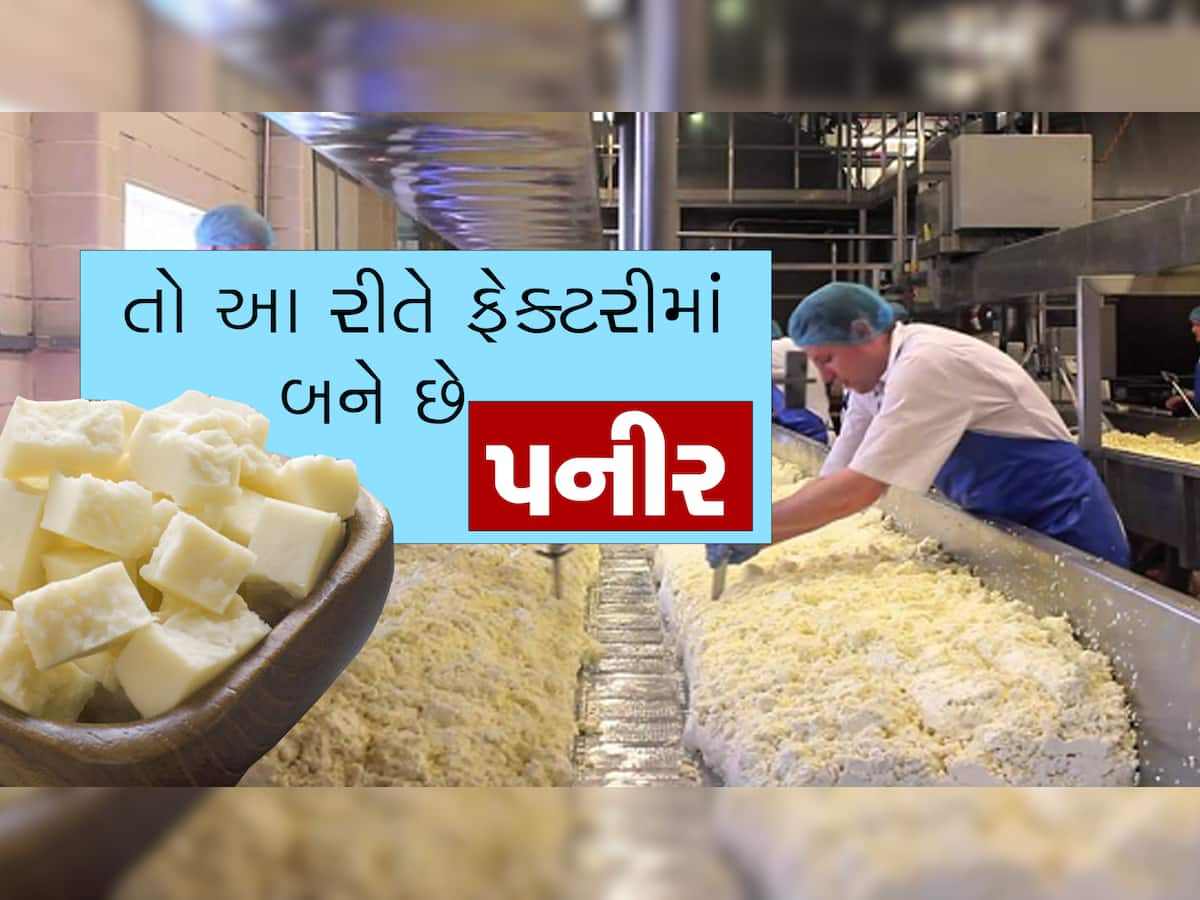 Fake Paneer: પનીર ખાતા પહેલા સાવધાન! શું તમે ખાતા નથીને નકલી પનીર? આ રીતે જાણો અસલી નકલીનો ભેદ