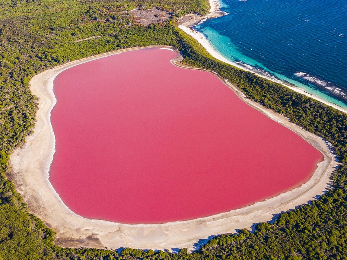 આ છે દુનિયાનુ સૌથી યુનીક Pink Hillier Lake, જાણો કેમ તેનો રંગ છે ગુલાબી