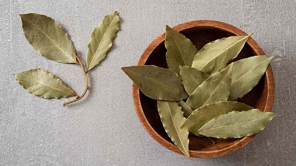 Benefits of Bay Leaf સ્વાદની સાથોસાથ સ્વાસ્થ્ય માટે પણ ખુબ લાભકારી છે