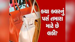શું તમે ખોટા રંગનું પર્સ યુઝ કરી રહ્યા છો? તમારી રાશિ પ્રમાણે જાણો તમારો લકી કલર