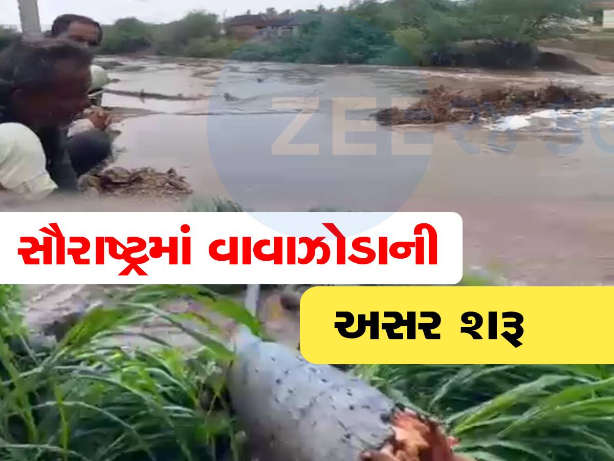 વાવાઝોડાનું તાંડવ શરૂ થઈ ગયું, વેરાવળમાં વાવાઝોડાએ ભારે વિનાશ વેર્યો 