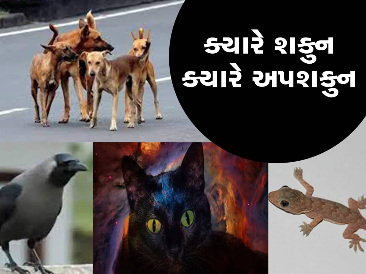 Omen and bad omen: દુર્ભાગ્યથી બચવા અને સૌભાગ્ય પ્રાપ્ત કરવા હંમેશા યાદ રાખો શકુન અને અપશકુન