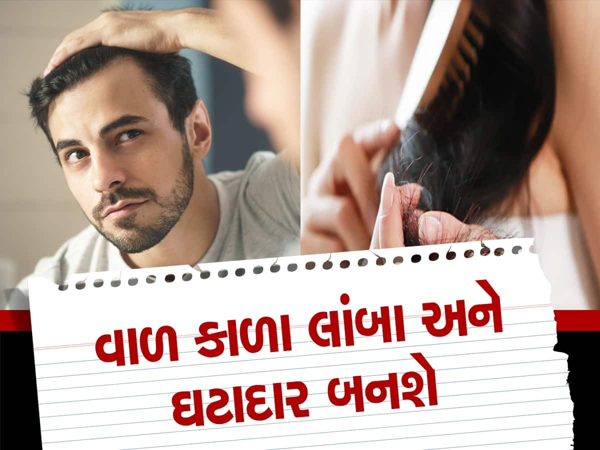 વાળને લાંબા અને ચમકદાર બનાવવા માટે આ તેલનો કરો ઉપયોગ, વાળ ખરતા પણ થઈ જશે બંધ