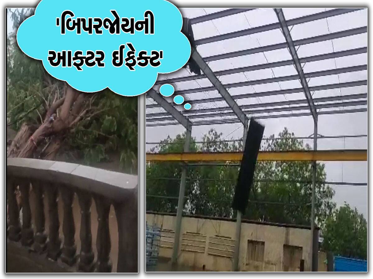 આજે ગુજરાતના 117 તાલુકામાં અનારાધાર વરસાદ પડ્યો, હજી આ વિસ્તારોમાં છે વરસાદની આગાહી 