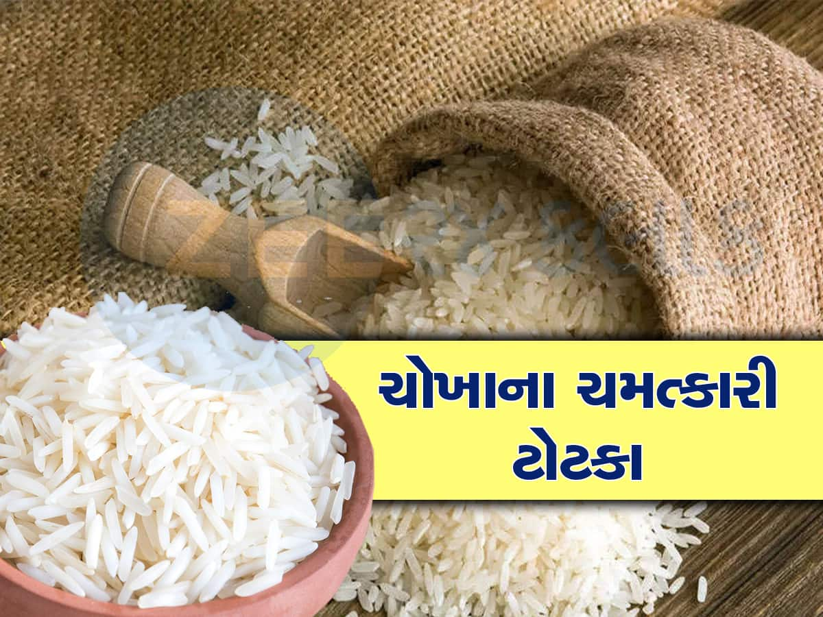 Rice Astro Remedies: ચોખાના આ ચમત્કારિક ઉપાય રૂપિયાની તંગીને કરશે દૂર, ચમકી ઉઠશે ભાગ્ય!