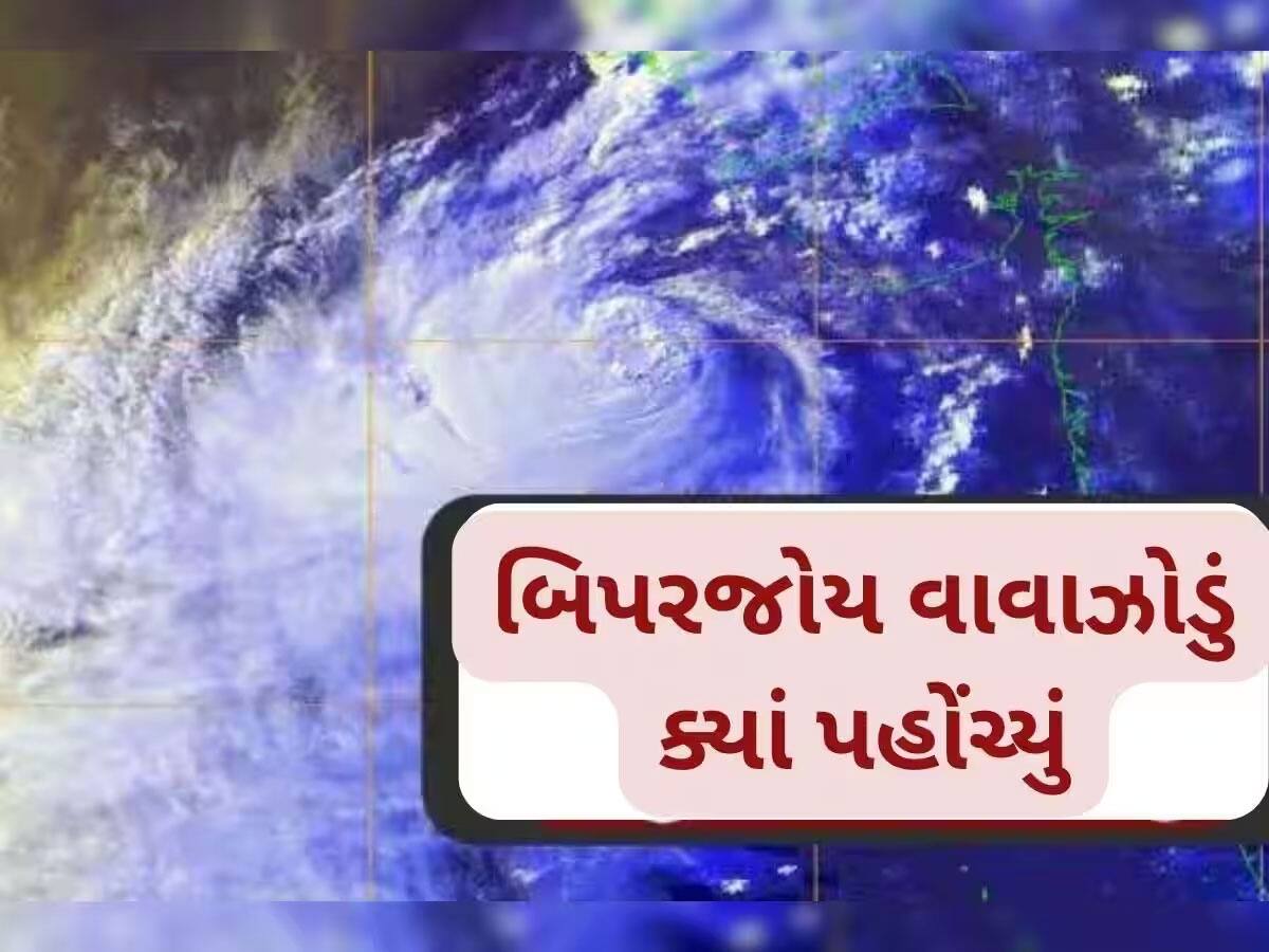 ગુજરાત માટે રાહતના સમાચાર!, વાવાઝોડું ડીપ ડિપ્રેશનમાં ફેરવાયું, આ જિલ્લાઓમાં વરસાદની આગાહી