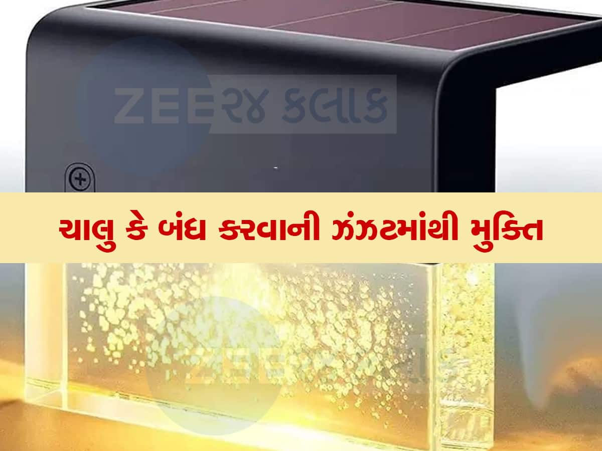 Zero Electric Bill: ફક્ત 282 રૂપિયા ખર્ચ કરો, જીંદગીભર નહી આવશે વિજળીનું બિલ