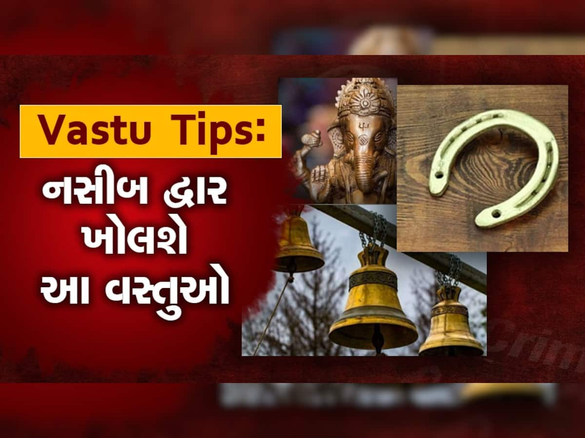 Vastu Tips: ઘરમાં સુખ-સમૃદ્ધિ અને શાંતિ જોઈતી હોય તો દરવાજા લગાવો આ વસ્તુઓ, ક્યારેય નહીં થાય રૂપિયાની તંગી