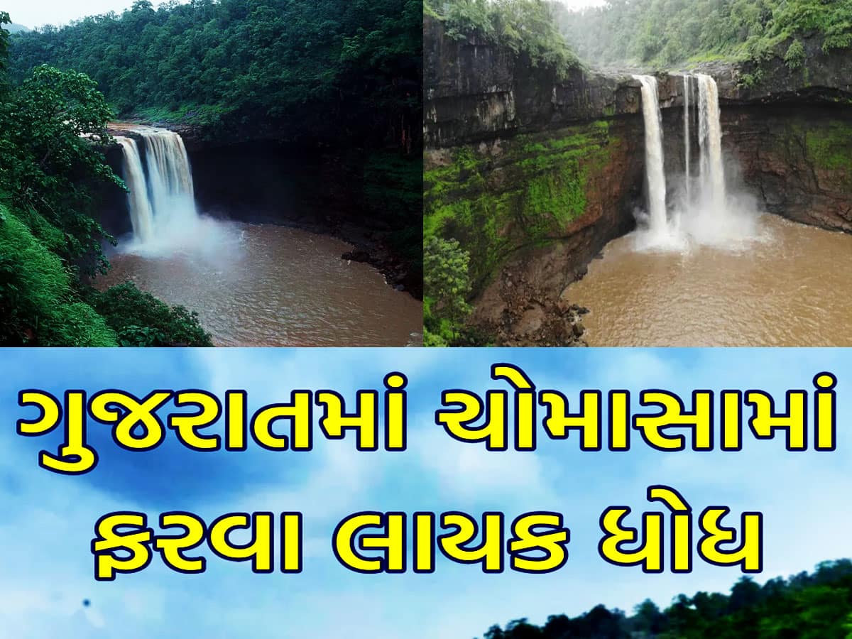 Gujarat Tourism: ગુજરાતના આ 7 ધોધ સામે અમેરિકાનો Niagara Falls પણ છે ફેલ! ચોમાસામાં ફરવાની બેસ્ટ જગ્યા