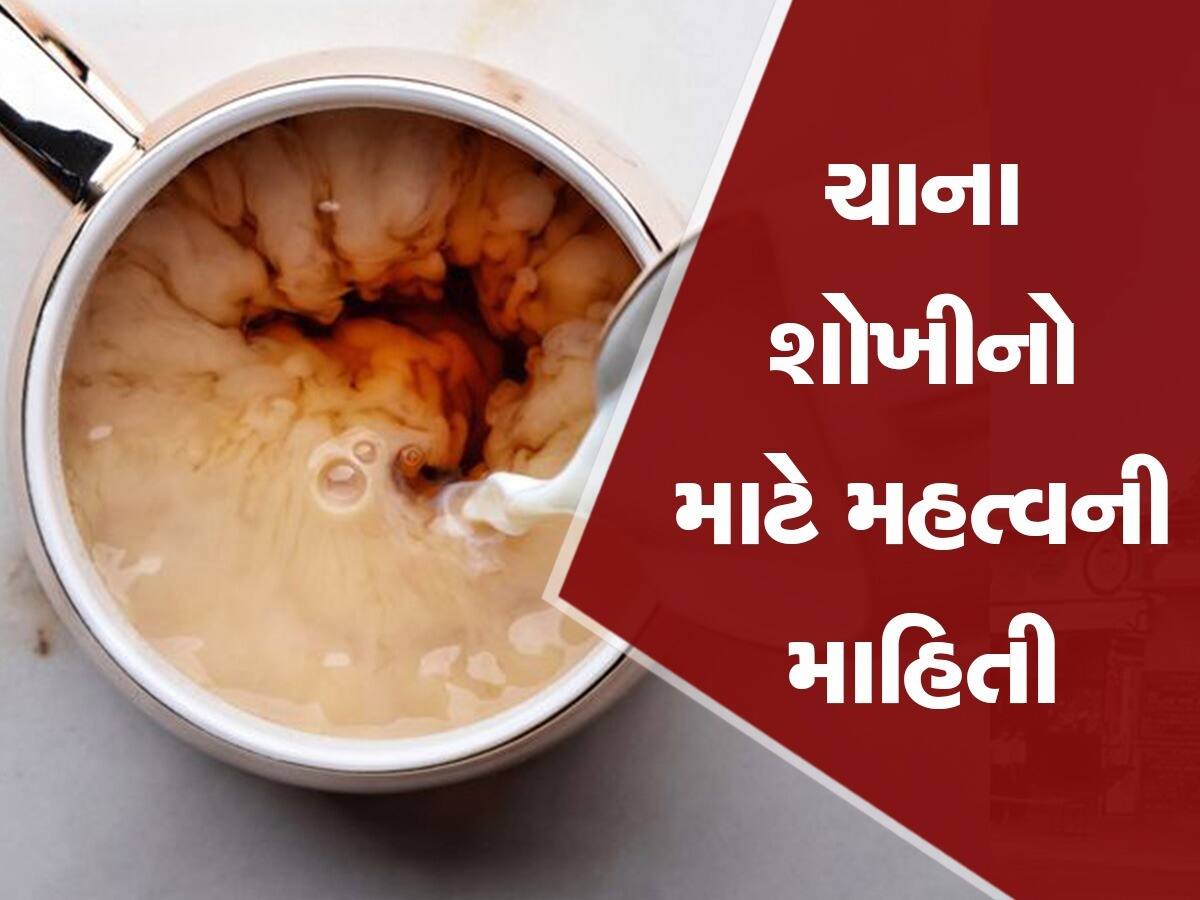 Know best way of tea making step by step check here full process of tea