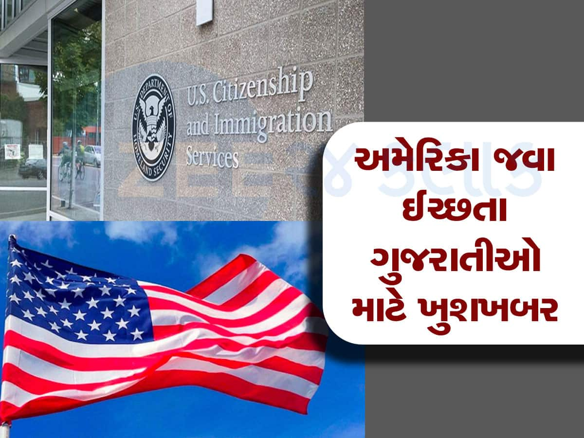 PM મોદીના પ્રવાસ વચ્ચે USA એ H-1B વિઝા માટે રજૂ કર્યો નવો પ્લાન, ભારતીયોને ફાયદો જ ફાયદો- રિપોર્ટ