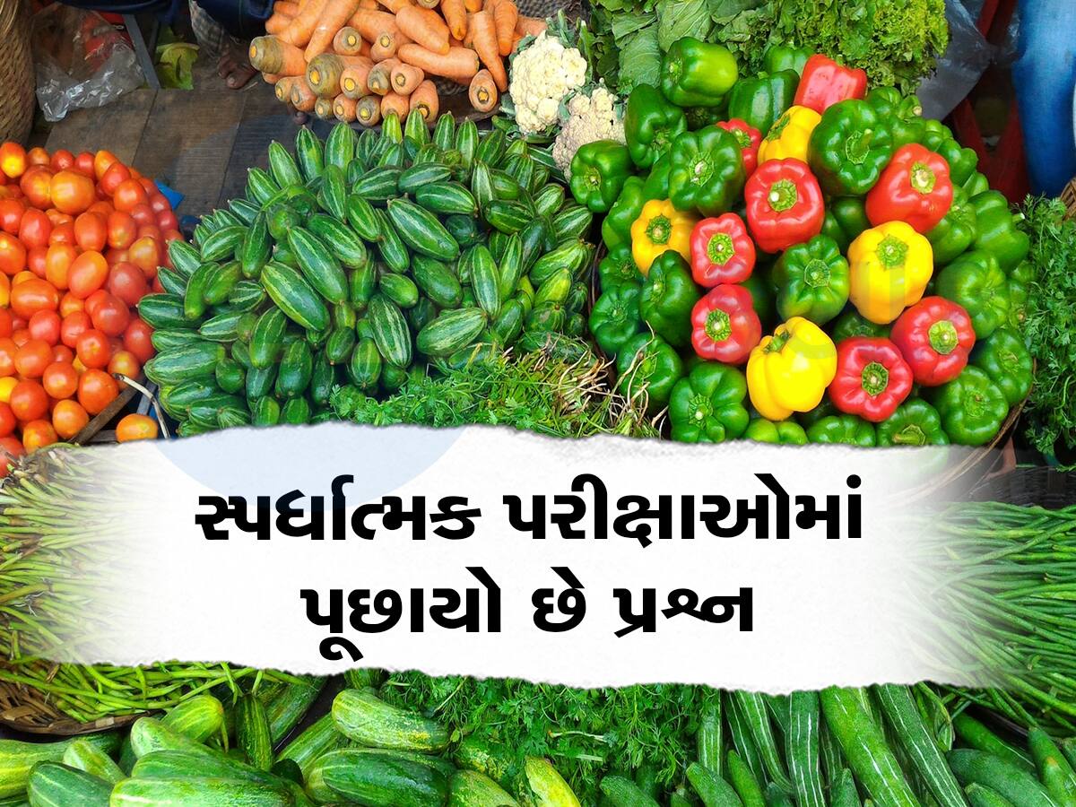 Quiz: શાકભાજીઓનો રાજા બટાકા તો જાણો રાણી કોણ? આ રહ્યો જવાબ