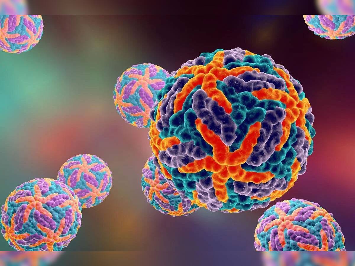કોરોના બાદ હવે દુનિયા પર આ નવા જીવલેણ વાયરસનું જોખમ, WHO ની ચેતવણી-એકસાથે અનેક પ્રકારની બીમારીઓ ફેલાઈ શકે