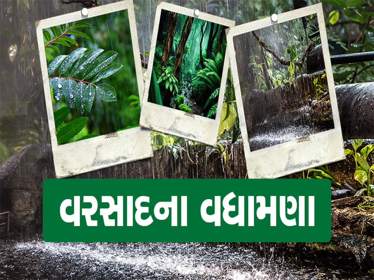 Gujarat Weather Forecast For Next Three Hours Heavy Rain In Gujarat