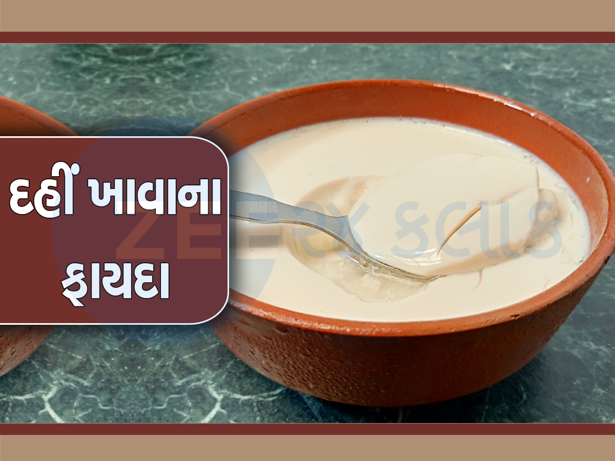 Curd Benefits: વજન ઘટાડવા માટે દરરોજ સાંજે ખાઓ 1 વાટકી દહીં, થશે ગજબના ફાયદા