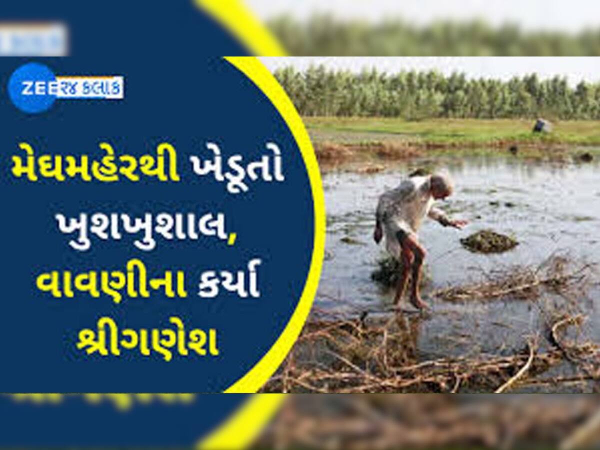 ગુજરાતમાં ખરીફ વાવેતર: 11.78 લાખ હેક્ટરમાં ખેડૂતોએ કરી વાવણી, કપાસનું વધ્યું તો મગફળીનું ઘટ્યું
