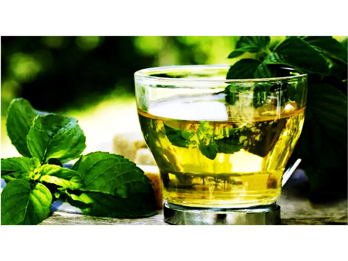 Green Tea પીતા પહેલાં આ રીતે ચકાશો અસલી છે કે નકલી, નહીં તો ફાયદાને બદલે થશે નુકસાન